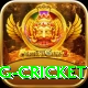 1st inning betting cricket Games (Casino & Earning) Master v1.9.1