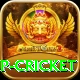 2022 world cup cricket VIP Edition v2.1.9