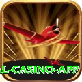 Aviator Game Pakistan Royal Casino App