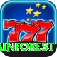 barun valley rainforest Turbo v5.6.4
