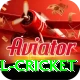 bbl cricket Games (Casino & Earning) VIP v1.1.6