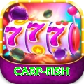 carp fish Pro Edition v5.2.4