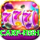 carp fish Pro Edition v5.2.4