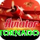 cash tornado Premium Edition v5.8.7