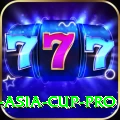 cricket asia cup Jackpot Champion v1.5.1