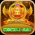 cricket bat Deluxe Pro v3.9.5