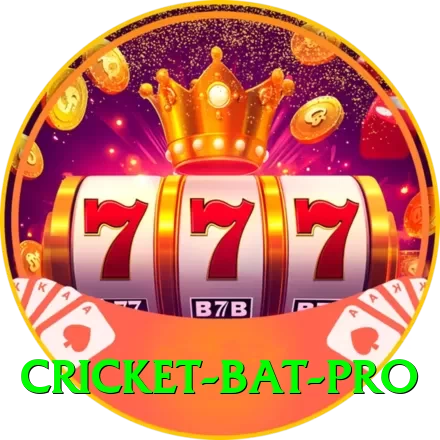 cricket bat - Real Money Gold - 2