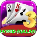 dawid malan VIP Edition v1.3.1