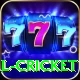 defending total cricket Deluxe v5.3.5