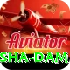 diamer bhasha dam Max v5.9.1