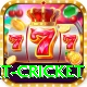 early payout cricket Plus Edition v4.1.1