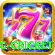 eng cricket Games (Casino & Earning) Pro v4.2.2
