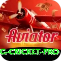 eng cricket Turbo - Win Real PKR