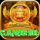 gautam gambhir Elite Pro v2.3.3