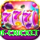 god of cricket Master v3.1.4