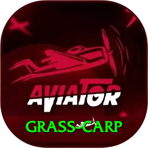 grass carp Apps (Tools & Injectors) Ultimate v4.0.4 - 2