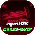 grass carp Apps (Tools & Injectors) Ultimate v4.0.4