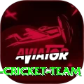 hong kong cricket team Ultimate Pro v3.3.1