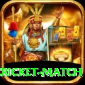 india pakistan cricket match Gold Pro v3.8.0
