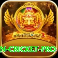 india pakistan cricket Bonus Gold v3.5.4
