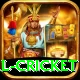 international cricket Apps (Tools & Injectors) Plus v2.8.0
