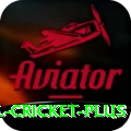 international cricket - Premium Edition v2.2.7