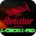 international cricket Gaming Ultimate