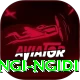 lungi ngidi Deluxe v4.4.1