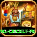 make money betting cricket pk Turbo Pro v4.8.3
