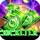 mohsin khan cricketer Pro v4.4.3