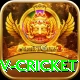 ndtv cricket Gold Pro v5.8.3