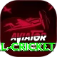 nepal cricket VIP v1.5.2