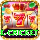 online cricket Pro1 v3.0.2