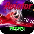 pkspin Gold Edition v5.6.3