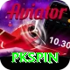 pkspin Gold Edition v5.6.3