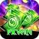 PKWin VIP v1.3.2