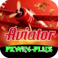 pkwin Premium Plus v5.1.9