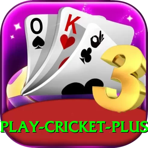 play cricket Games Premium - 2