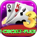 play cricket Games Premium