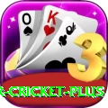 r cricket Mega New
