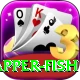 red snapper fish Premium Edition v3.9.3