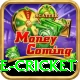 smartcric live cricket Plus