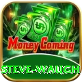 steve waugh VIP Pro v1.5.1