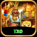 t20 Pro v2.1.9