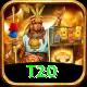 t20 Pro v2.1.9