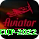 t20 world cup 2022 Premium Plus v5.7.2