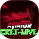 test cricket live Pro Edition v1.5.7