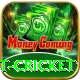 test cricket Premium Edition v2.6.9