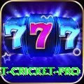 test cricket Plus Casino App