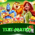 test match Plus Pro v4.1.1
